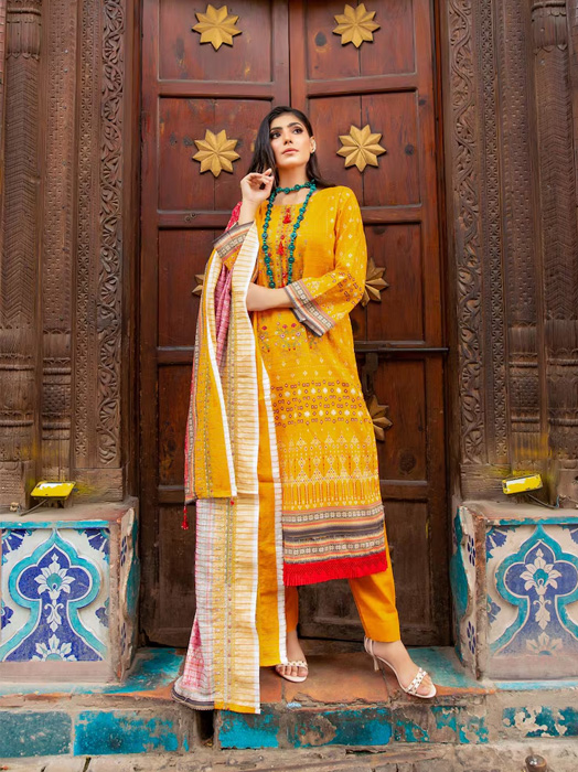 Suit Salwar - Virasat Couture